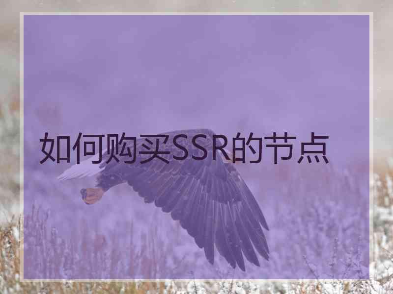 如何购买SSR的节点