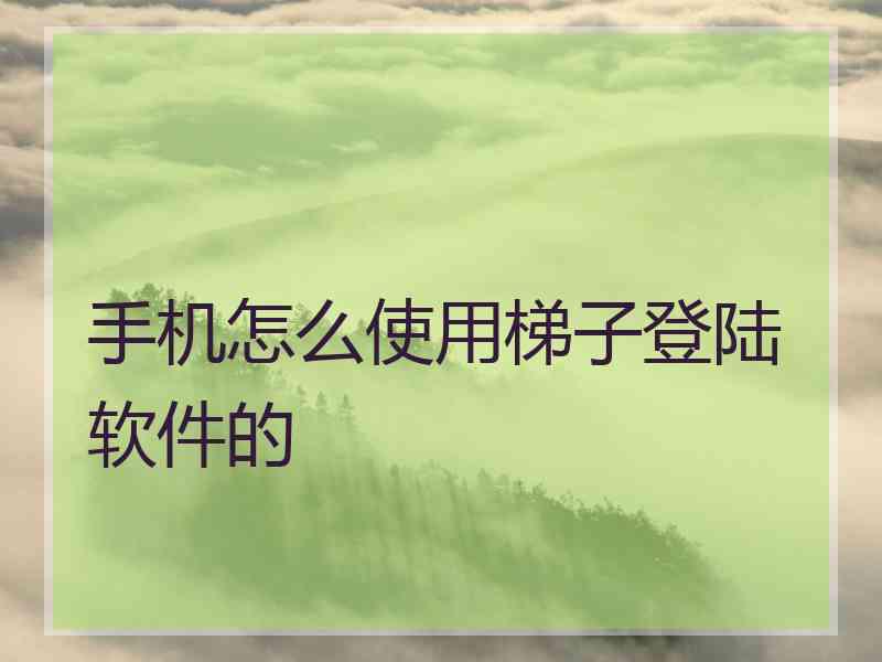 手机怎么使用梯子登陆软件的