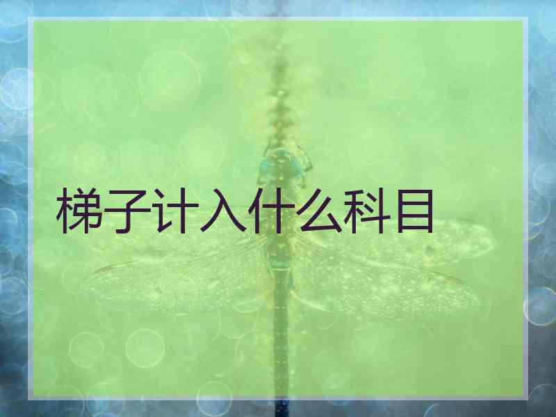 梯子计入什么科目