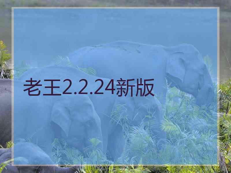 老王2.2.24新版