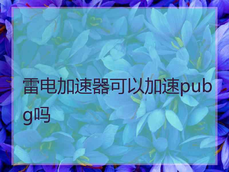 雷电加速器可以加速pubg吗
