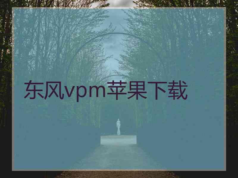 东风vpm苹果下载