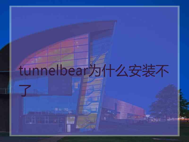 tunnelbear为什么安装不了