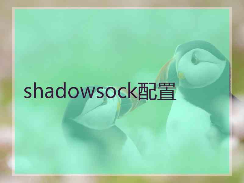 shadowsock配置