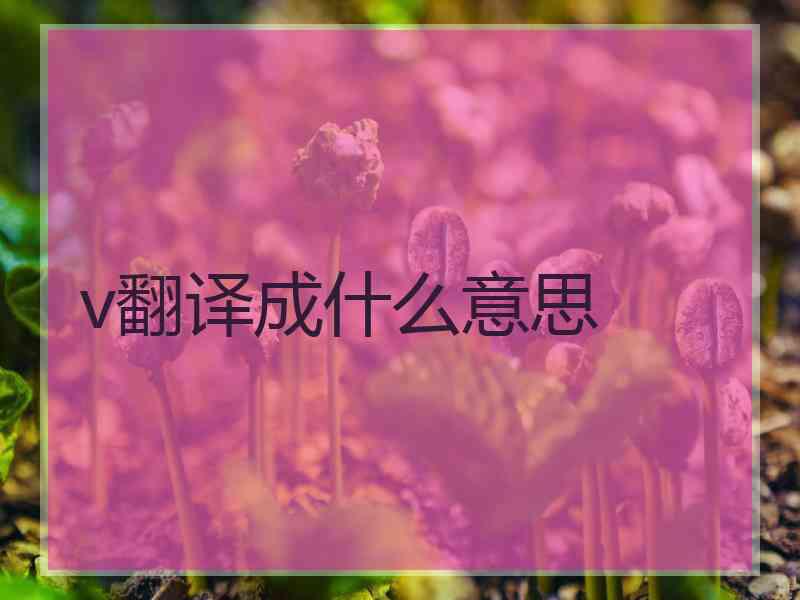 v翻译成什么意思