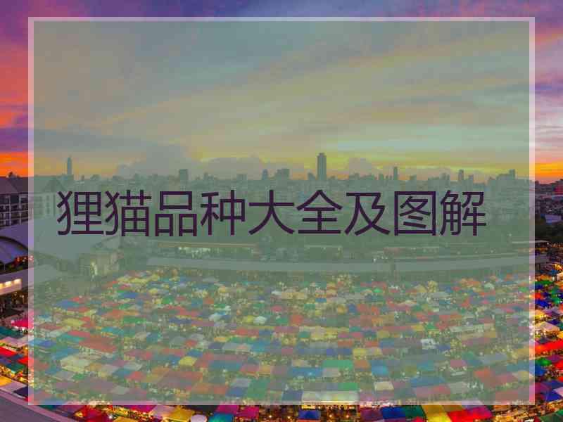 狸猫品种大全及图解