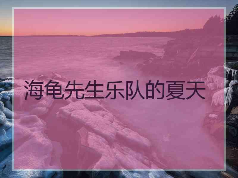 海龟先生乐队的夏天