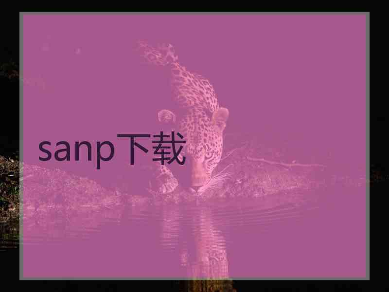 sanp下载