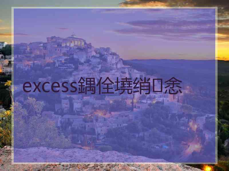 excess鍝佺墝绡悆