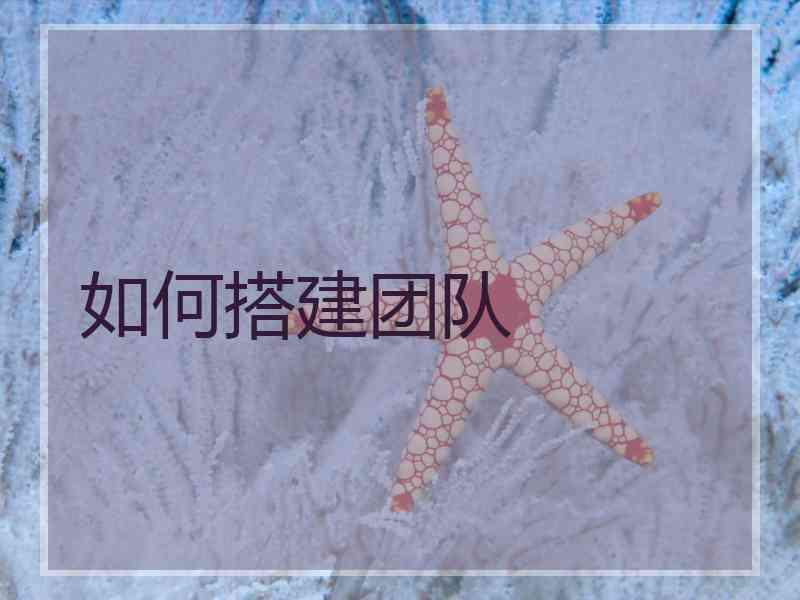 如何搭建团队