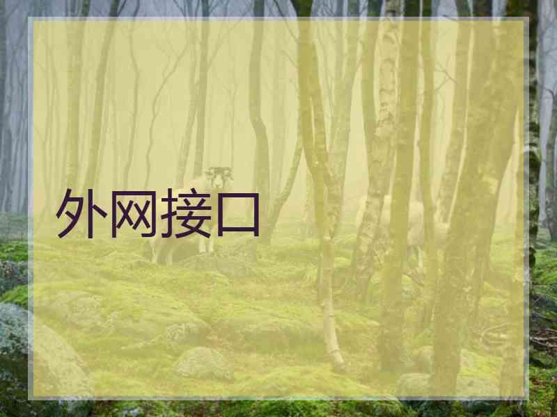 外网接口