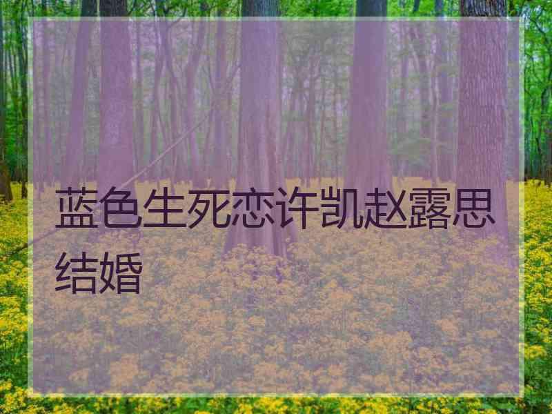 蓝色生死恋许凯赵露思结婚