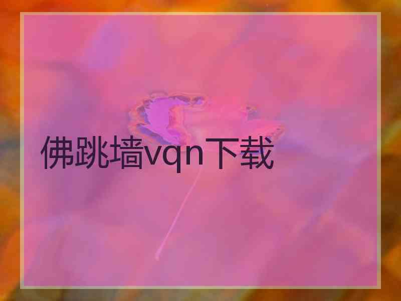 佛跳墙vqn下载