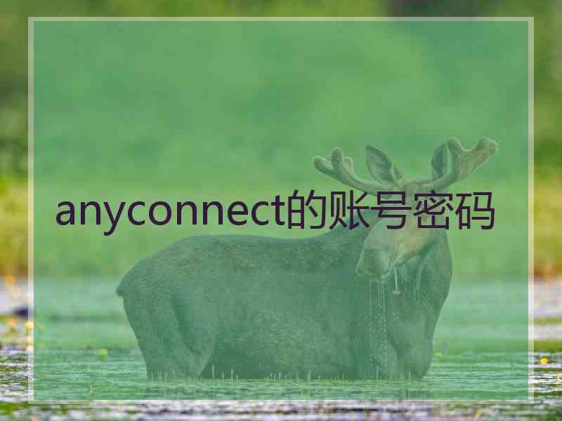 anyconnect的账号密码