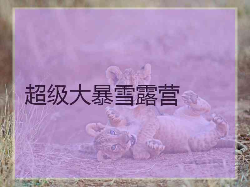 超级大暴雪露营