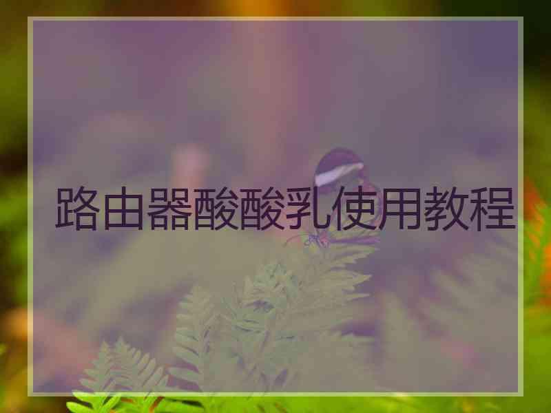路由器酸酸乳使用教程