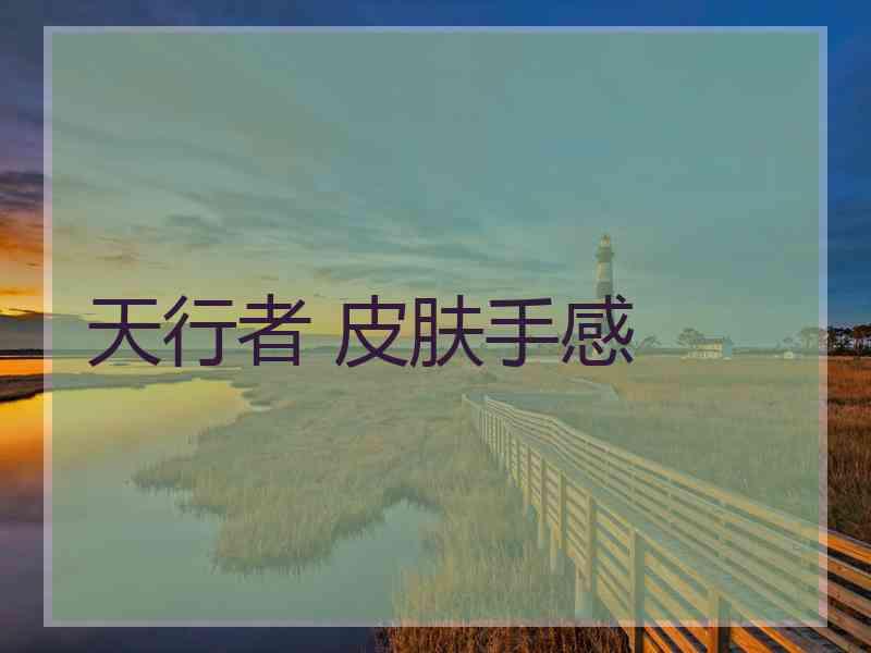 天行者 皮肤手感