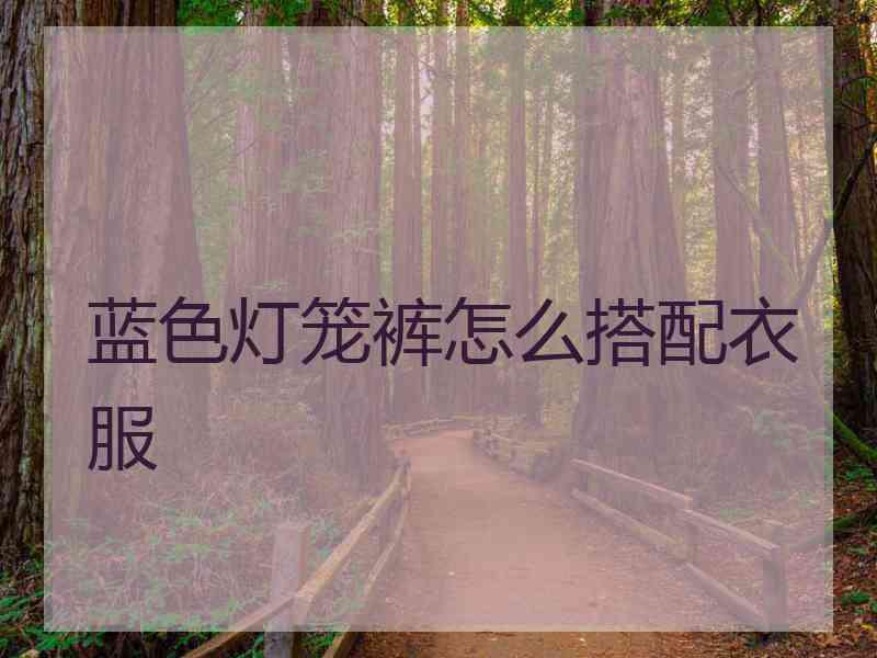蓝色灯笼裤怎么搭配衣服