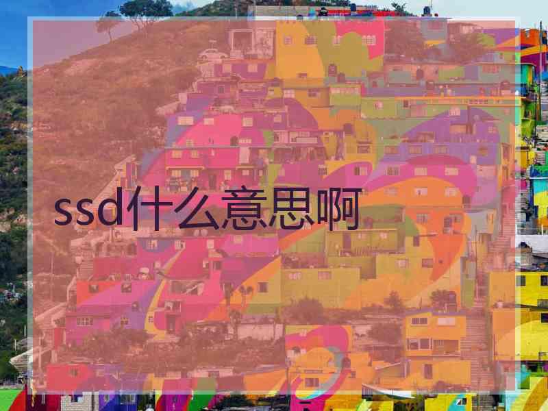 ssd什么意思啊