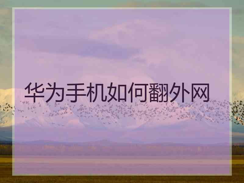 华为手机如何翻外网