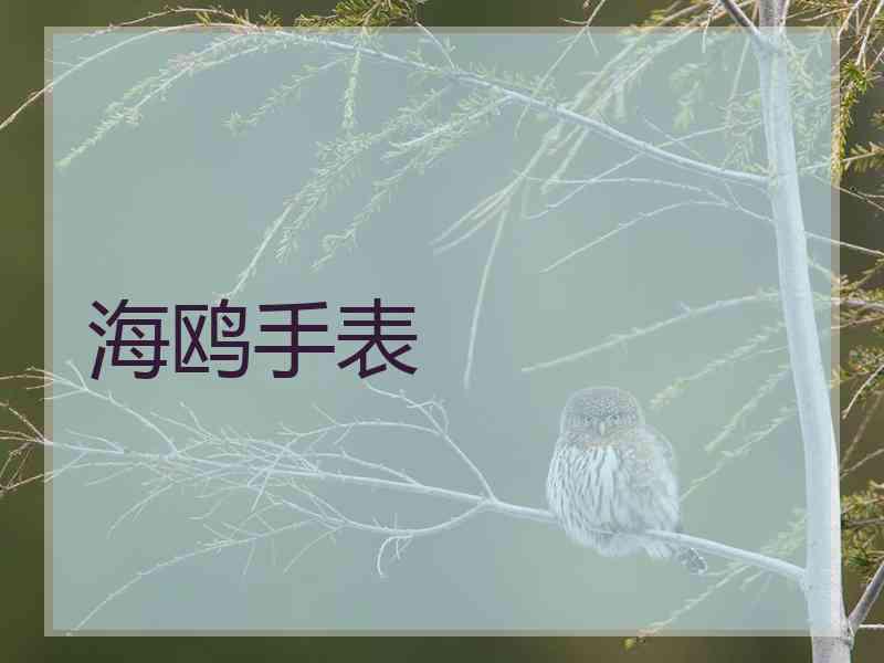 海鸥手表