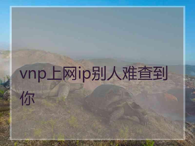 vnp上网ip别人难查到你