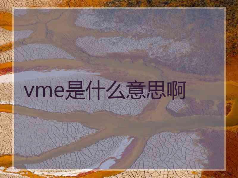 vme是什么意思啊