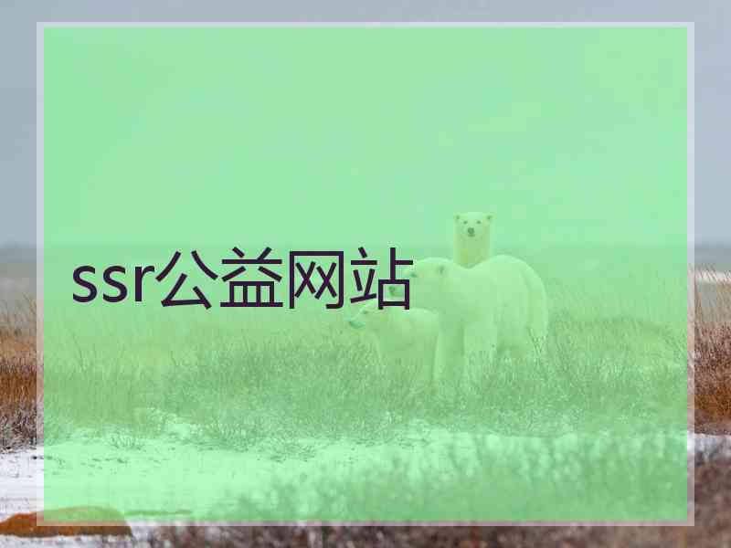ssr公益网站