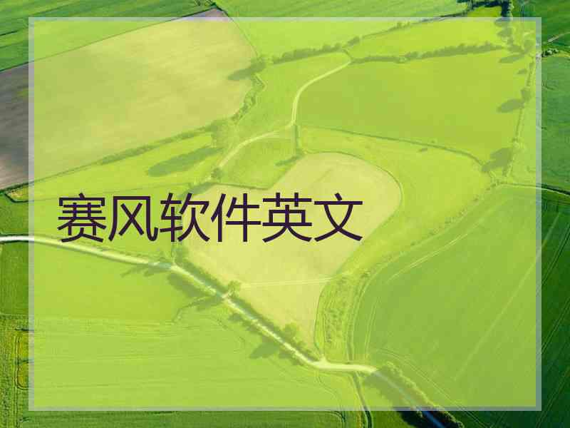 赛风软件英文