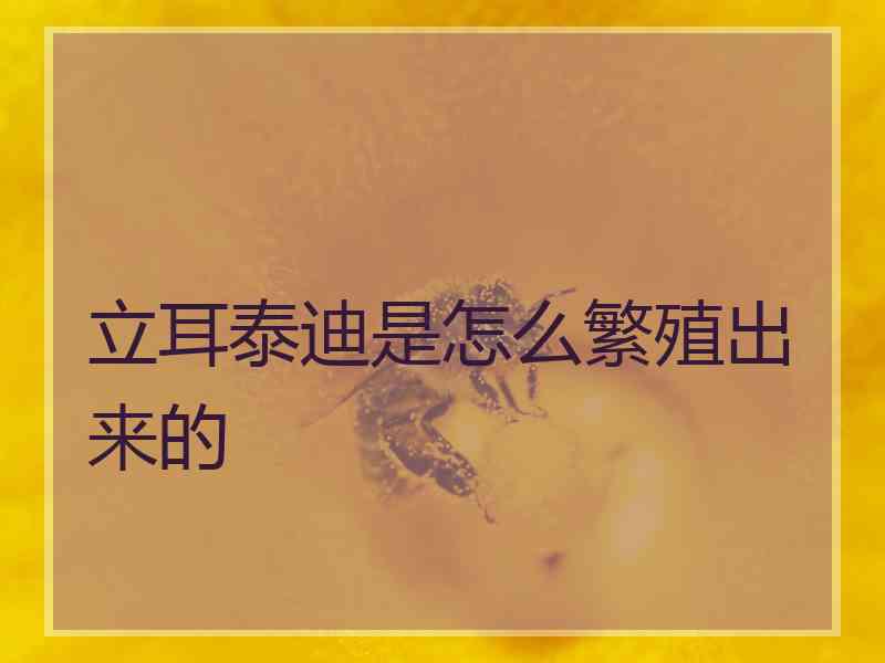 立耳泰迪是怎么繁殖出来的