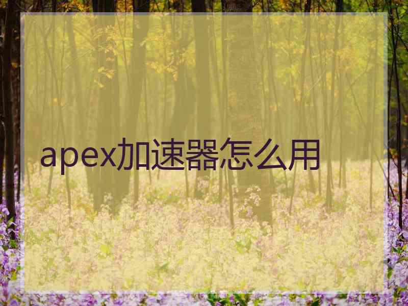 apex加速器怎么用