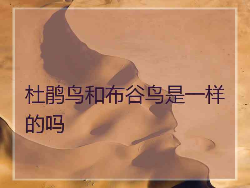 杜鹃鸟和布谷鸟是一样的吗