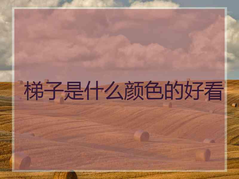 梯子是什么颜色的好看