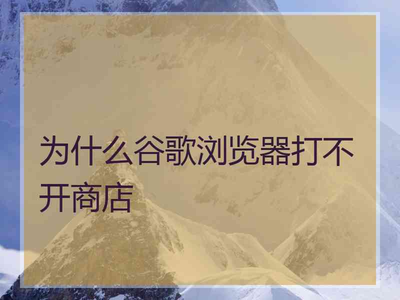 为什么谷歌浏览器打不开商店