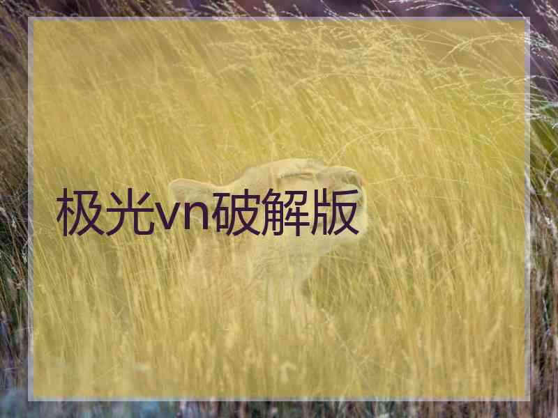 极光vn破解版