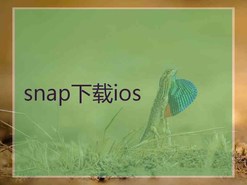 snap下载ios