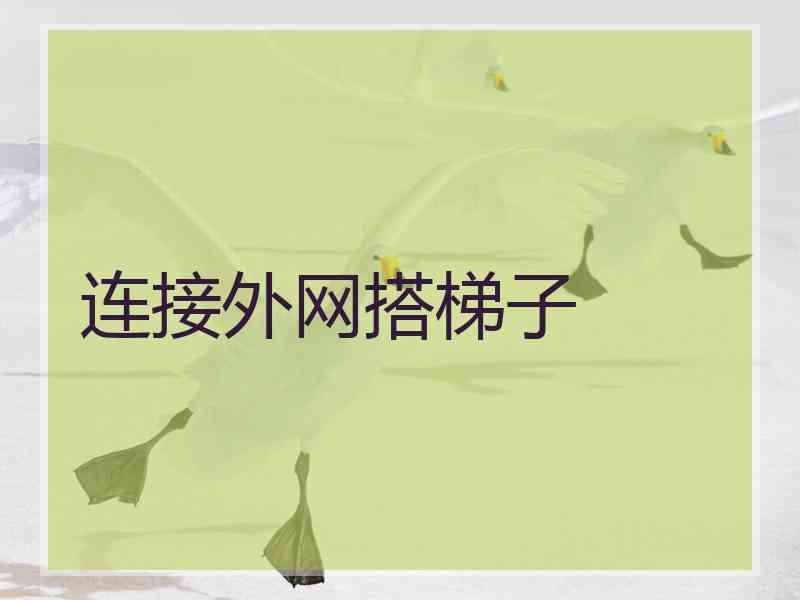 连接外网搭梯子
