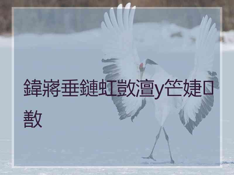 鍏嶈垂鏈虹敳澶у笀婕敾