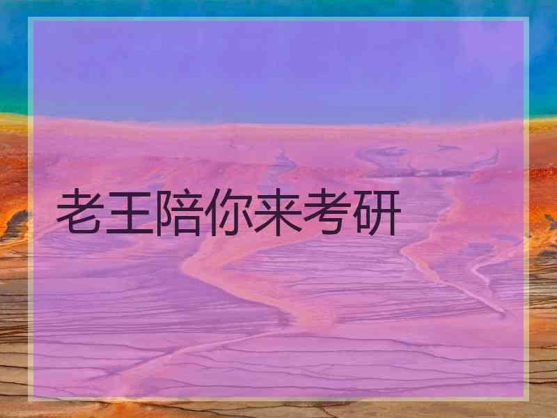 老王陪你来考研