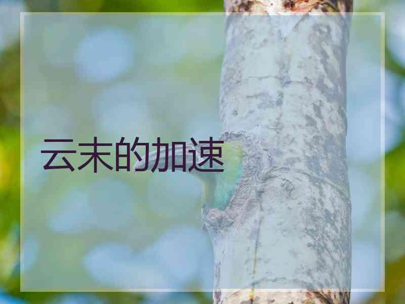 云末的加速