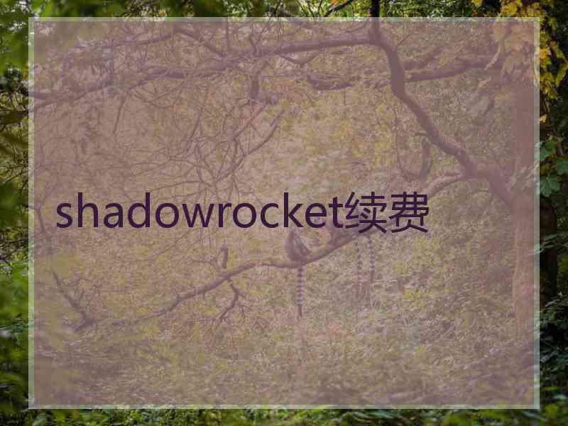 shadowrocket续费