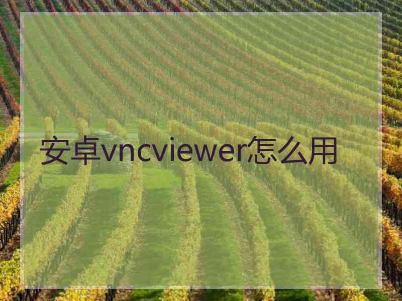 安卓vncviewer怎么用