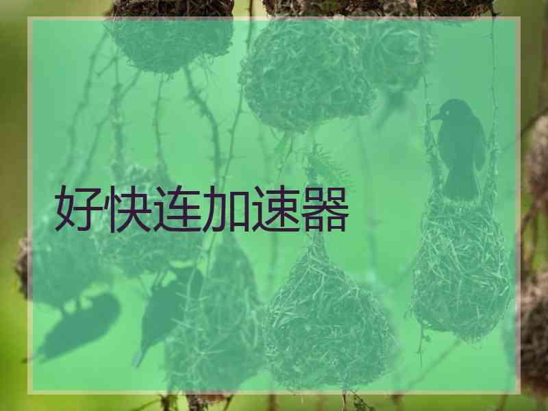 好快连加速器