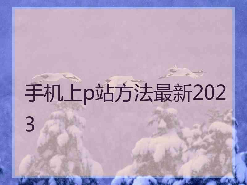 手机上p站方法最新2023