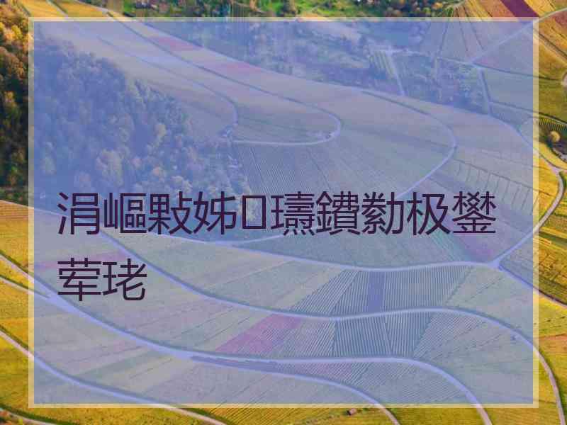 涓嶇敤姊瓙鐨勬极鐢荤珯