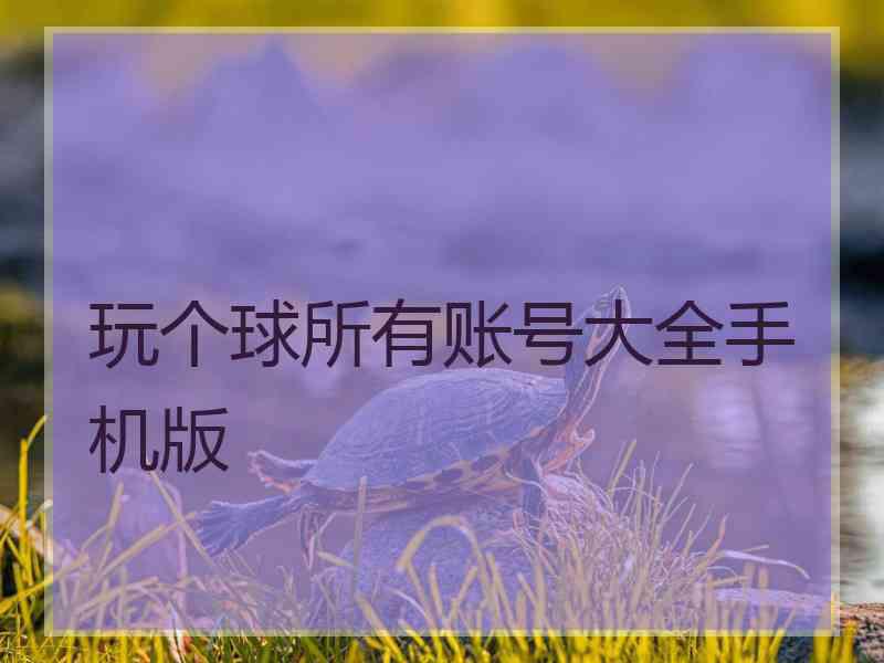 玩个球所有账号大全手机版