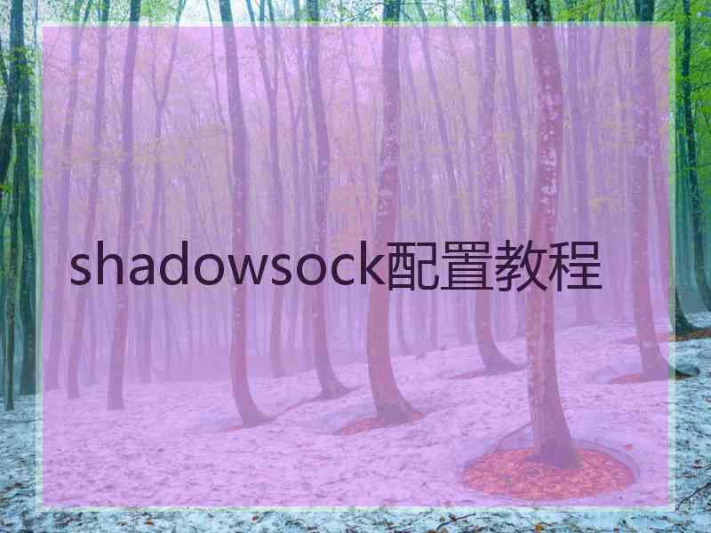 shadowsock配置教程