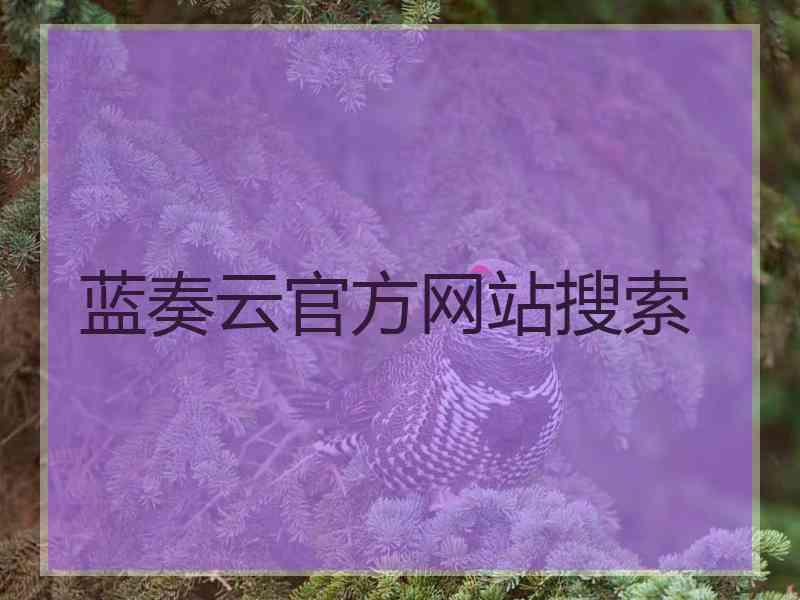 蓝奏云官方网站搜索