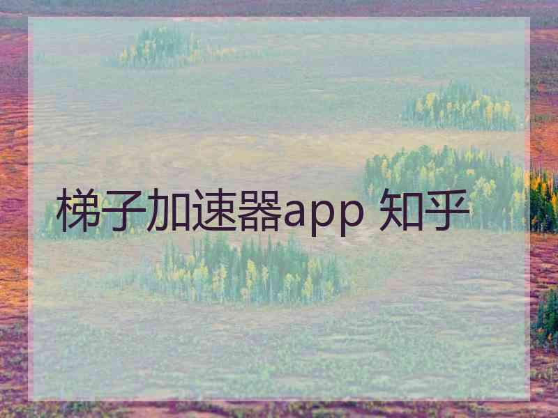 梯子加速器app 知乎
