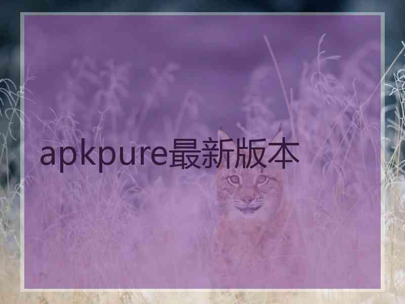 apkpure最新版本